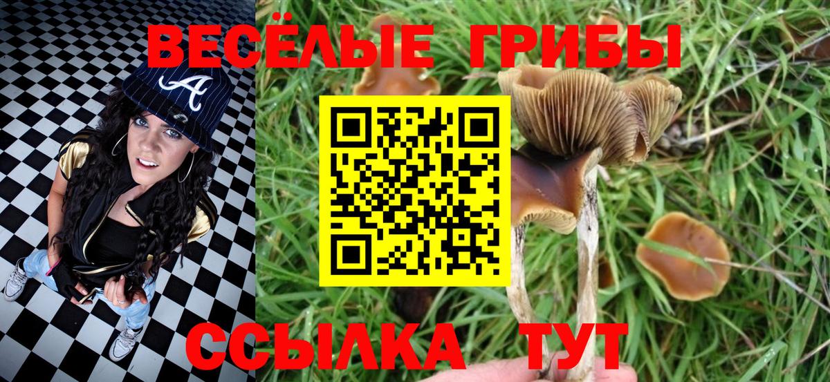 Галлюциногенные грибы Psilocybine cubensis  купить закладку  Воскресенск  Вход с VPN 